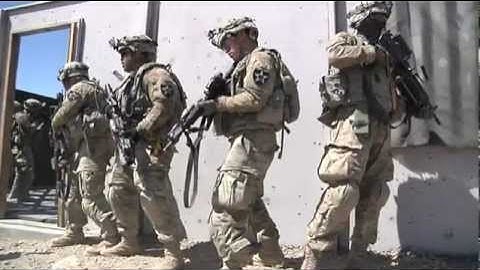 Tactical Explosive Detection Dog