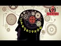 Стереотипы в истории. Подкаст "Ты ж историк?"