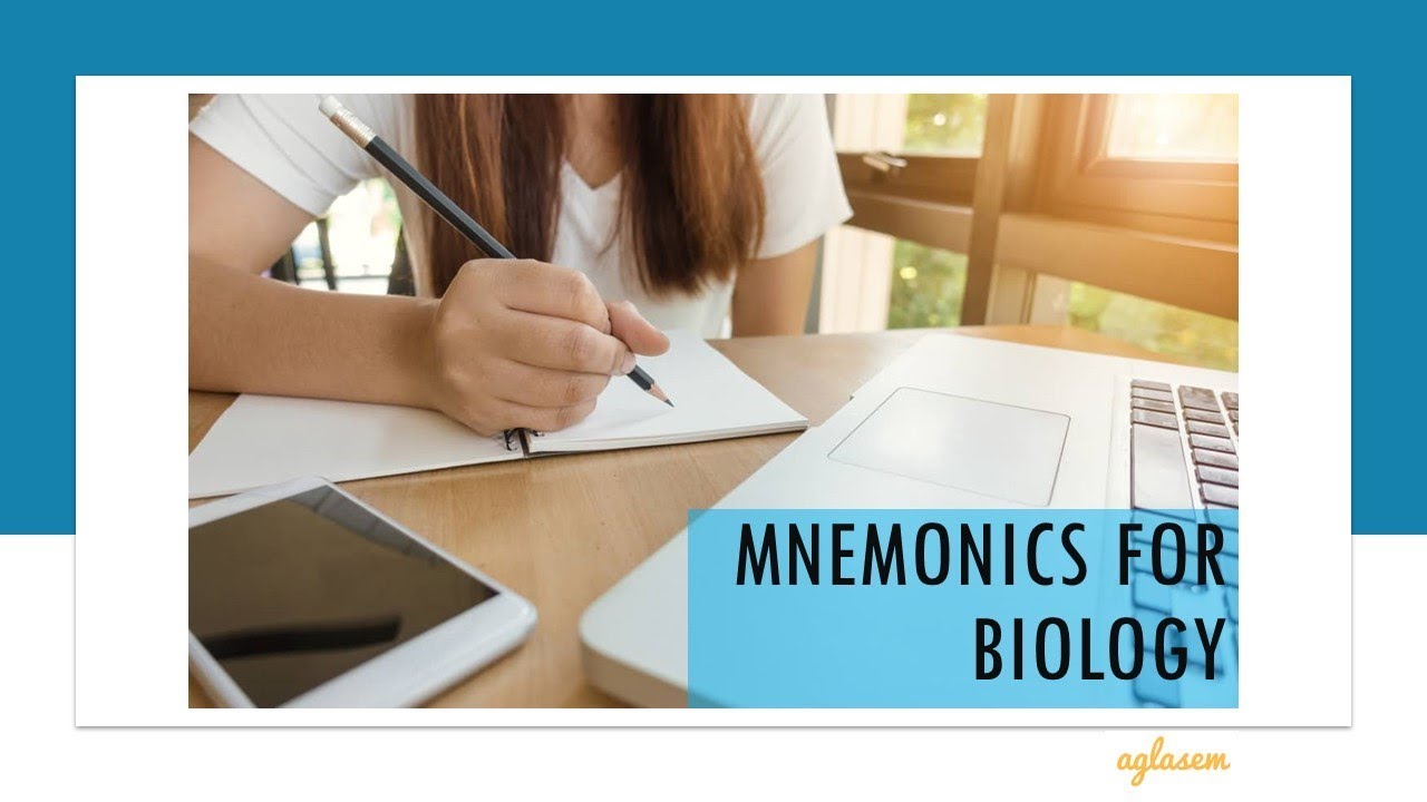 18 Mnemonics For Biology For Neet Youtube 18 Mnemonics For Biology For Neet Youtube