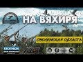 Охота на вяхиря, Смоленская область 2019