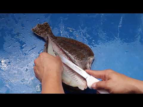 The EASIEST way to Debone a flounder