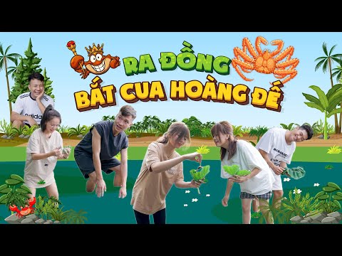 Video: Phim nào có doanh thu nhiều nhất trong những ngày cuối tuần mở cửa của họ?