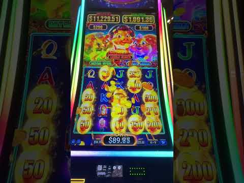 Vegasino: Pelata kasinoa verkossa suoraan Suomesta