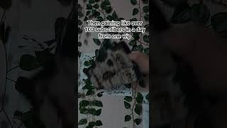 TYSM! #dragon #puppet #horror #dragons