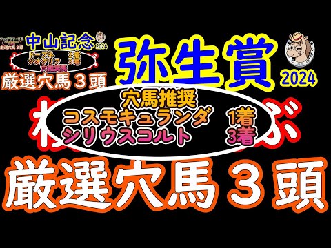 弥生賞2024桜花が選ぶ厳選穴馬３頭！今回は昨日の人気馬不安材料で漏れたダノンエアズロックを含めて4頭を検証！トライアルレースはスローな流れになることが多く穴馬には鬼門のレースか！？