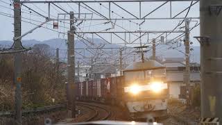 2019/02/06 JR貨物 早朝の貨物列車 遅れ2本と1055レ 1060レ 1071レ