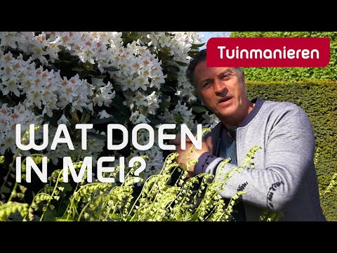 Video: Wat Te Planten En Te Zaaien In Mei
