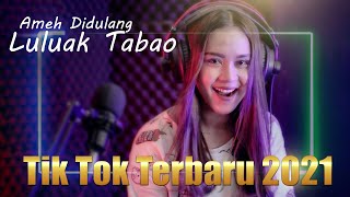 Tik Tok Terbaru 2021 - Ameh Didulang Luluak Tabao || TIKTOK (BA MUSIK DJ REMIX)