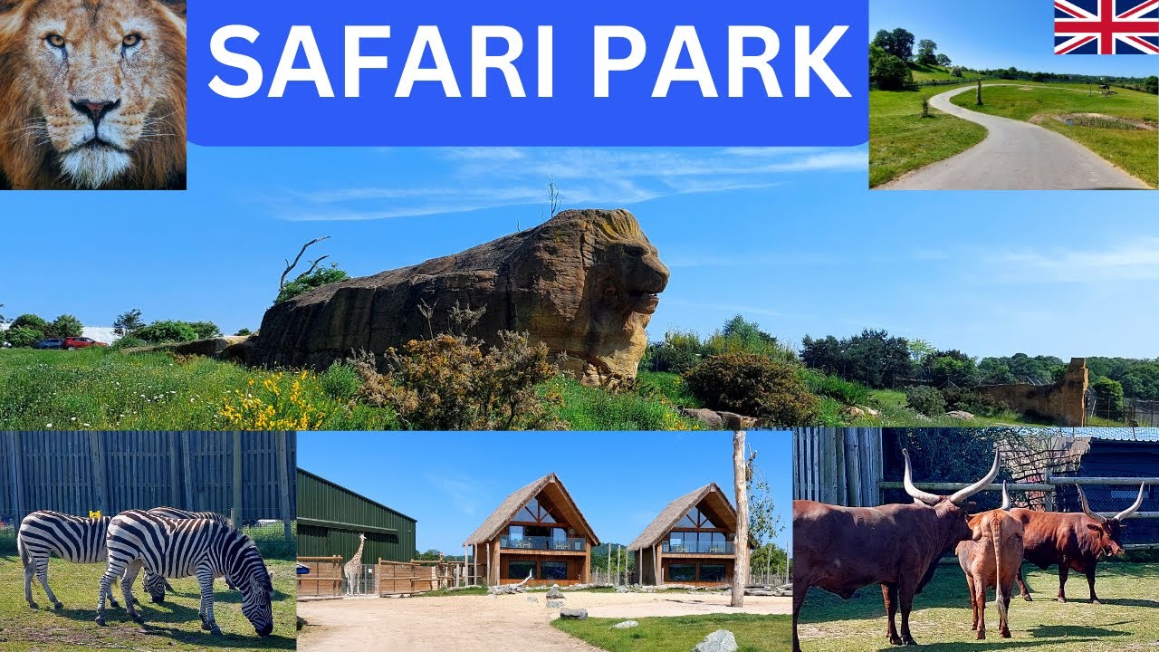 Must Watch | SELF-DRIVE SAFARI PARK - Birmingham - Live experience of Animals 2023 | Telugu Fam UK