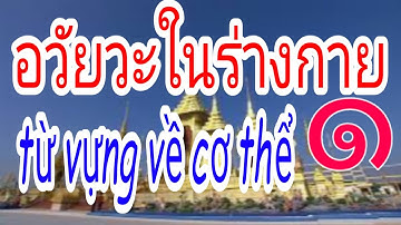 ĐÀM THOẠI TIẾNG THÁI LAN ( từ vựng về cơ thể อะวัยวะในร่างกาย)