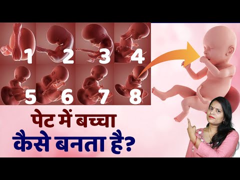 वीडियो: अपने बच्चे को दवा कैसे खिलाएं: 14 कदम (चित्रों के साथ)