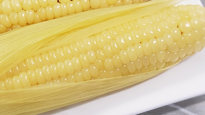 옥수수 맛있게 삶는법 3가지 비법으로 단맛 폭발! 탱글 맛있는 옥수수 삶기