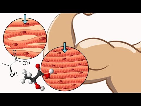 Как не СЖЕЧЬ мышцы на сушке если ты НАТУРАЛ