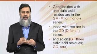 BIO202_Topic146