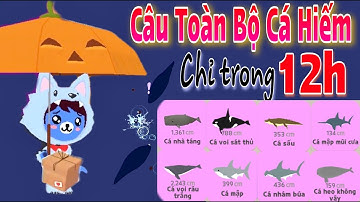PLAY TOGETHER | 12H CÂU TOÀN BỘ CÁ HIẾM Ở BIỂN | 2 CÁ NHÀ TÁNG VÀ CÁ VOI RÂU TRẮNG | Quí KA