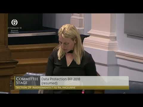 Lynn Ruane On Children S Data Protection 