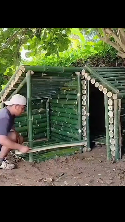 small river side shelter build #foresthouse #survival #cabinadventure #camping #explore #woodcabin