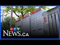 Canada Post Workers Strike Nationwide 📨