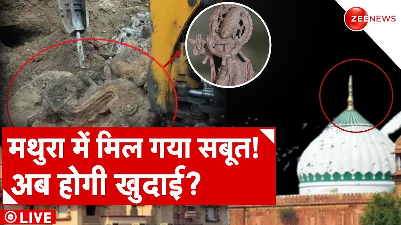 Shri Krishna Statue In Jama Masjid LIVE: मस्जिद की सीढ़ियों के नीचे दबी मूर्तियों का राज | Mathura