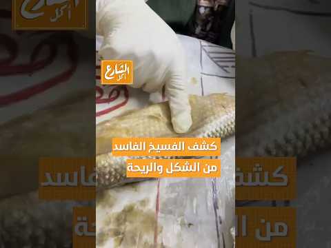 الشارع أكل إزاي تعرفي الفسيخ الفاسد من الشكل والريحة