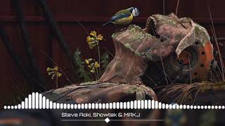 Steve Aoki, Showtek \u0026 MAKJ - Rave feat. Kris Kiss