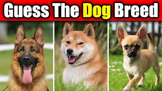 Guess The Dog Breed Quiz