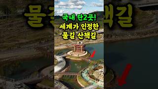 🔥 무려 950억원 투입 20년만에 개장한 세계가 인정한 물길 위 산책길 #여행추천 #방문할곳 #시니어건강 #시니어여행 #트레킹