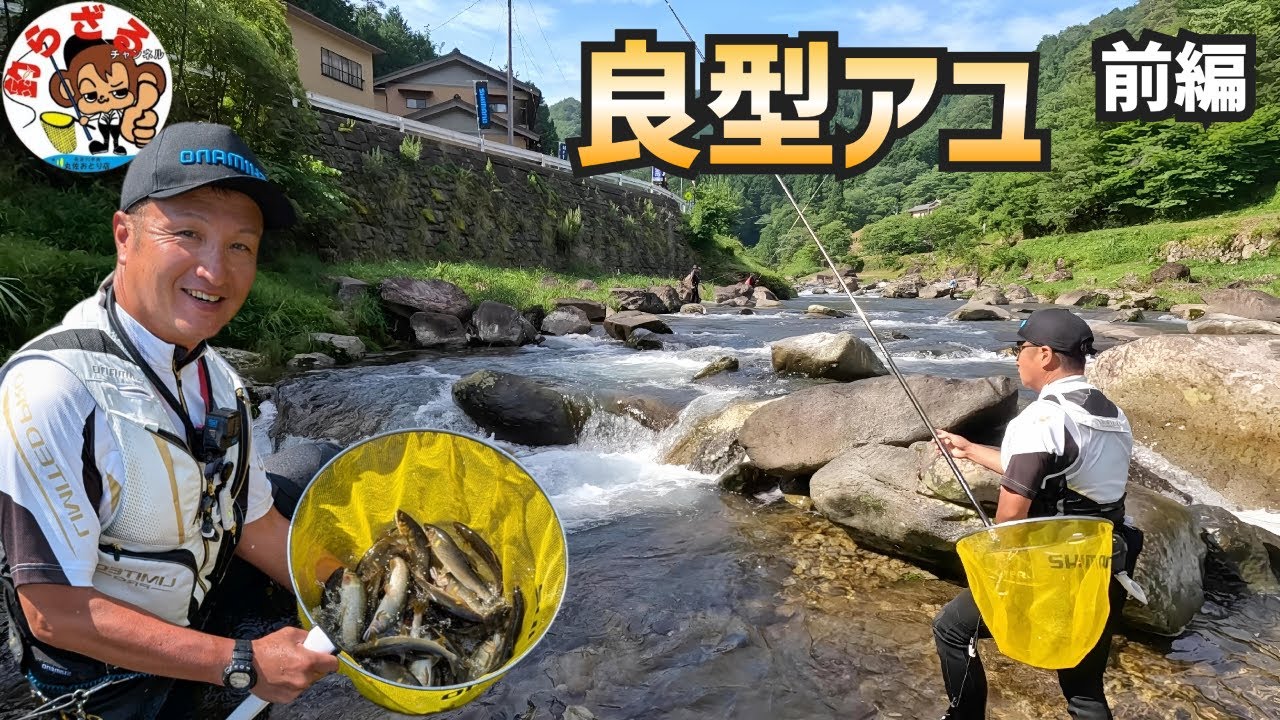 良型アユ！ガッツリ佐見川【鮎釣り2025】