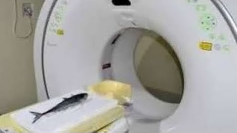 Shitpost Status Compilation #V4 | Shitpost Compilation 2023