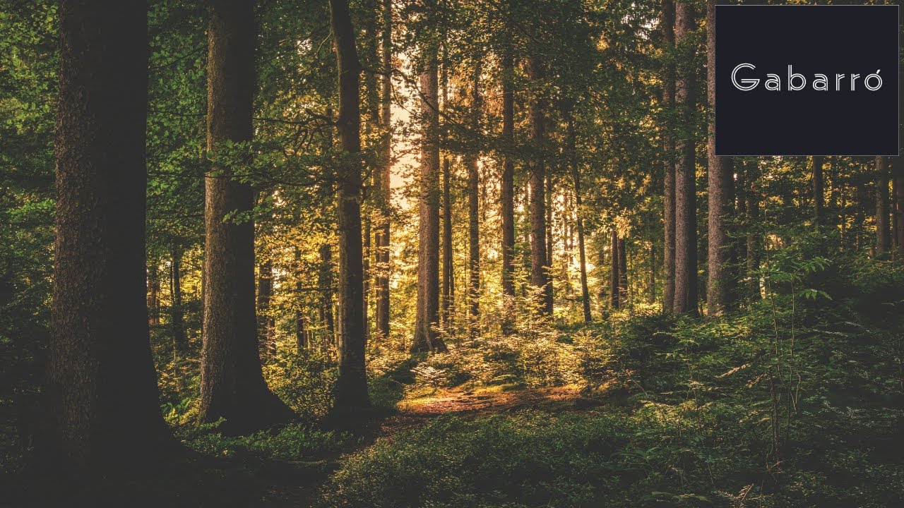 La nostra essència, la fusta | Gabarró Germans - Vídeo corporatiu