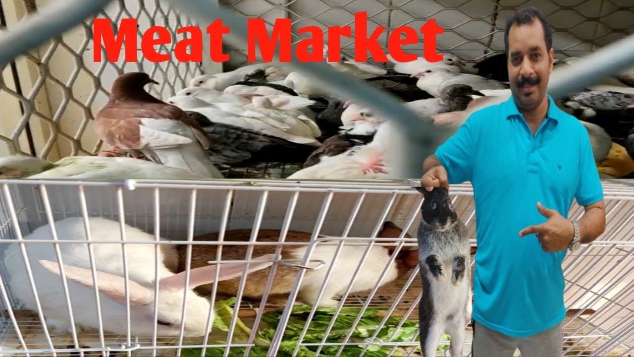 Ajman Meat Market Different Meat Types Fresh Meats UAE Geo s spotlight-on-christian-oldenburg-executive-managing-director-market