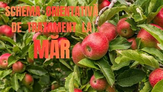 Tratamente La Mar - Tratament Fitosanitar La Măr - Stropiri La Pomul De Mere - Tratamentele Merelor