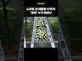 신해철 유족, 이재명 대통령...'노무현 전 대통령 17주기' 조화 누가 보냈나