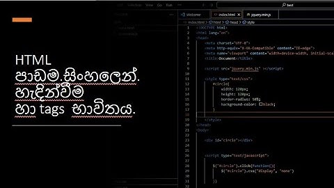 Web Developing in Sinhala | how to create website in sinhala | black tiger