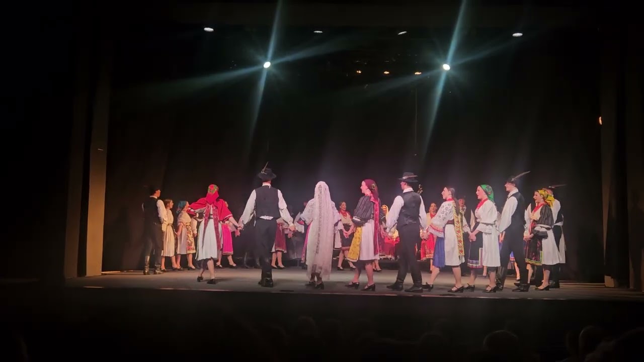 Kot Art #5 Kovačić 