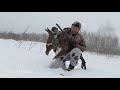 Охота на тетерева зимой в снегопад Охота на лунках На этот раз стрельба наладилась