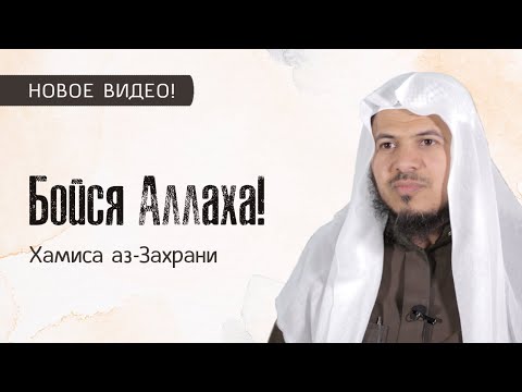 Videó: Hamis ágyszalma