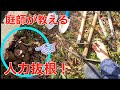 【根っこを抜く　自力　人力　】庭師が他業者に断られた抜根を引き受けた結果は？ご家庭にある道具でも頑張れば抜けるかも？
