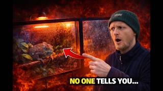 The Terrifying Truth About Reptile Keeping