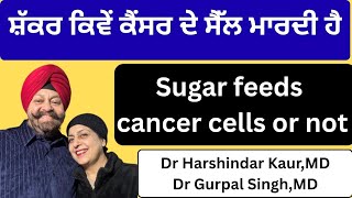 1194 - Sugar feeds cancer cells or not ਸ਼ੱਕਰ ਕੈਂਸਰ ਦੇ ਸੈੱਲ ਮਾਰਦੀ ਹੈ