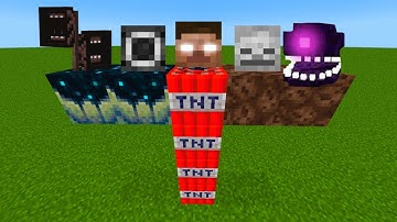what if you create SIREN HEAD CAMERAMAN HEROBRINE WITHER STORM SKELETON in MINECRAFT