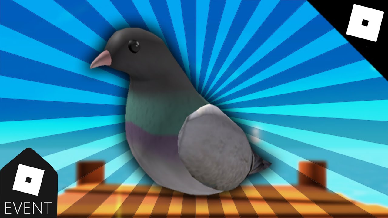 [EVENT] JAK ZDOBYĆ *Vans Pigeon Shoulder Pet* W VANS WORLD | Roblox