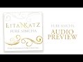 Eitan katz pure simcha  album preview  now in stores