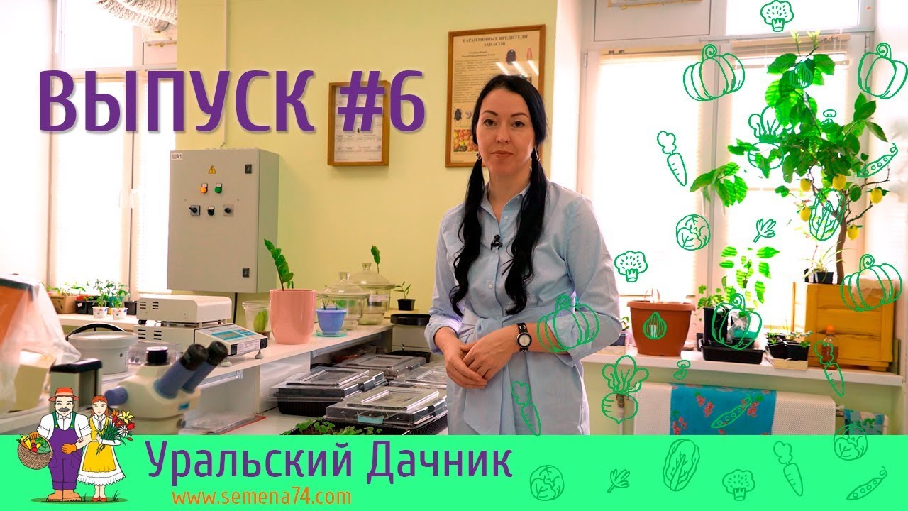 Semena74 Com Www Уральский Дачник Интернет Магазин