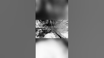 Why mindset matters more than motivation #motivation #changeyourmindsetchangeyourlife #selfhelp