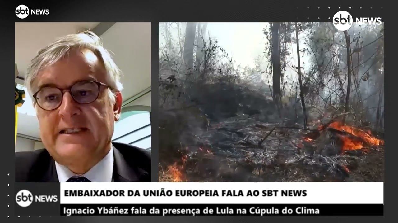 “Se Lula combater desmatamento ilegal, país terá mais verba”, diz embaixador