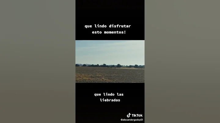 Perros de GUSTAVO IGLESIAS