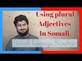 SOMALI LANGUAGE SUNDAYS: plural adjectives in Somali