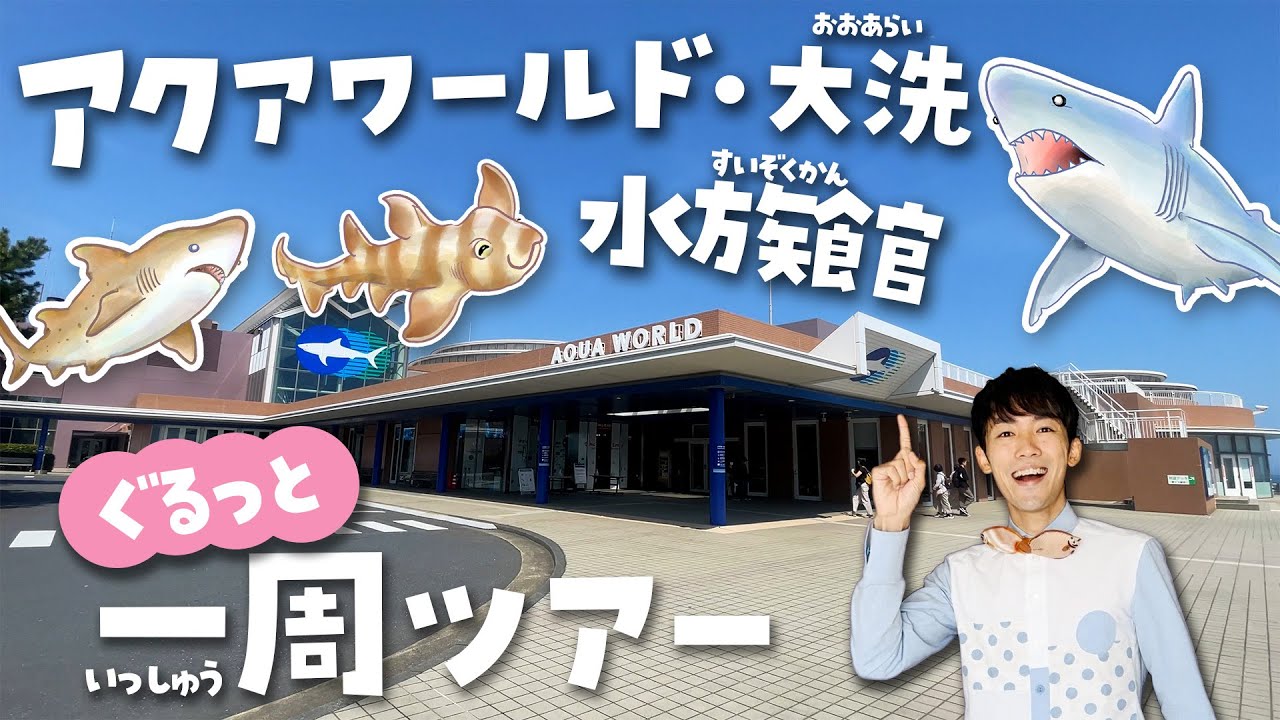 サメ好き必見！アクアワールド茨城県大洗水族館が100倍楽しくなるツアー🦈日本一のサメとマンボウの水族館を徹底紹介！shark aquarium