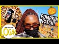 FALL TINGS 🍁 Pumpkin Patching + Sister Date ▸ Life With the Logans - S7 EP18